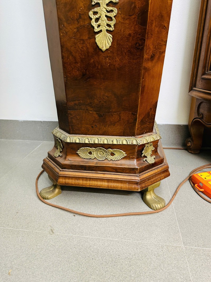 Đôn Châu Âu&nbsp;[PH0001]