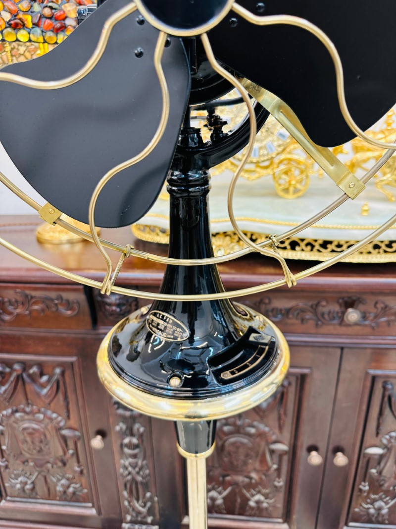 Quạt Cây Hitachi Ngoáy Cháo&nbsp;[A0003]