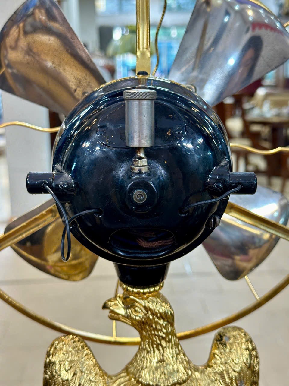 Đại Bàng Tung Cánh Marelli&nbsp;&nbsp;[A0022]