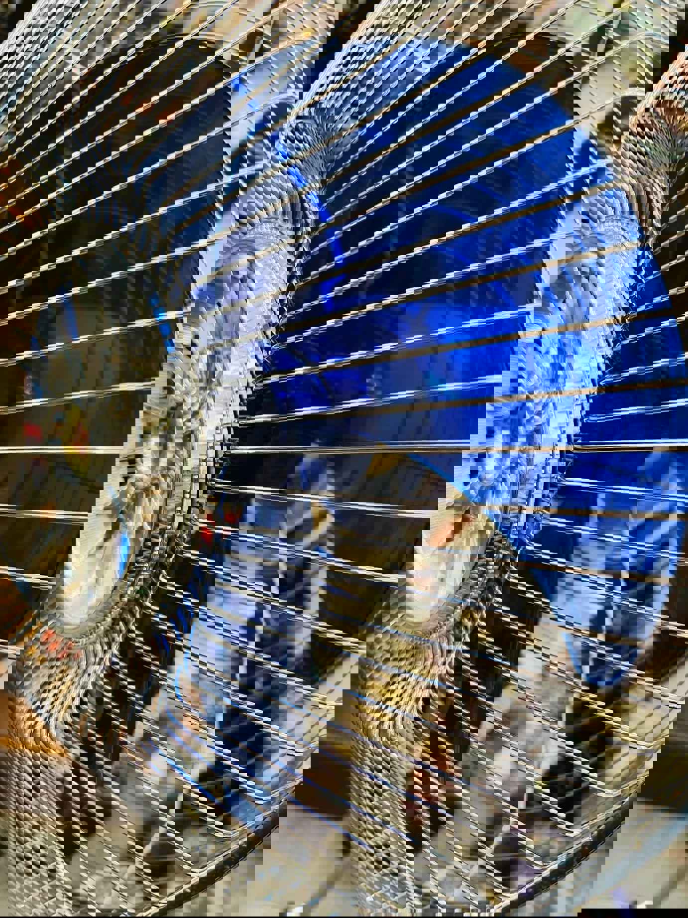 Quạt Nhật Cổ National: Báu Vật Sưu Tầm Đậm Chất Hoài Cổ